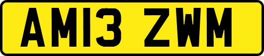 AM13ZWM