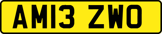 AM13ZWO