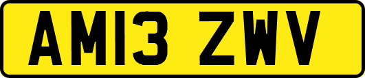 AM13ZWV