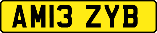 AM13ZYB