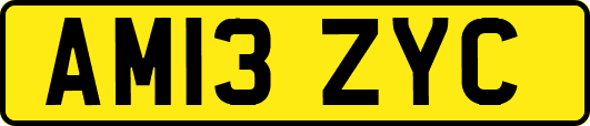 AM13ZYC