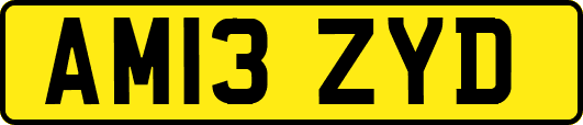 AM13ZYD