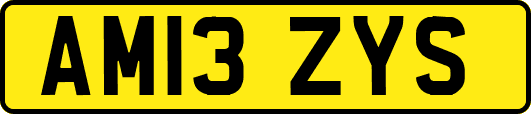 AM13ZYS