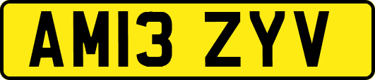 AM13ZYV