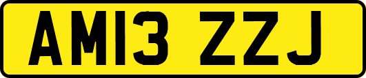 AM13ZZJ