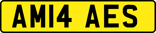 AM14AES