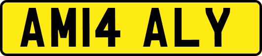 AM14ALY
