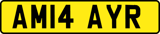 AM14AYR