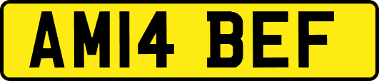 AM14BEF