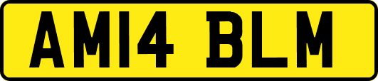 AM14BLM