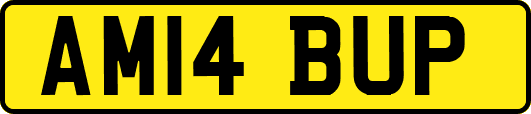 AM14BUP