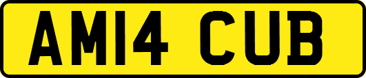 AM14CUB