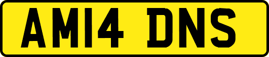 AM14DNS