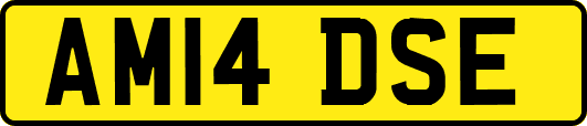 AM14DSE