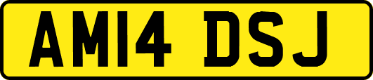 AM14DSJ