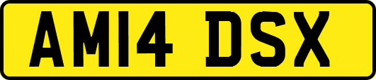 AM14DSX