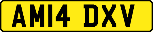 AM14DXV
