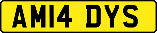 AM14DYS
