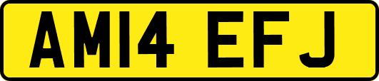 AM14EFJ