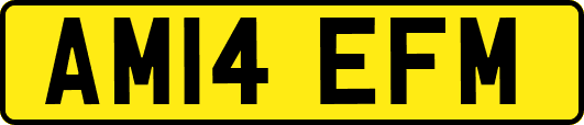 AM14EFM