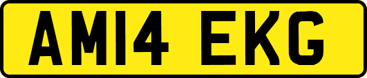 AM14EKG
