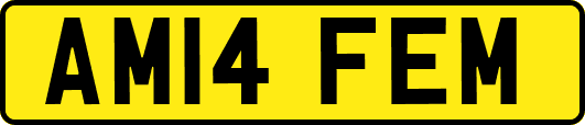 AM14FEM