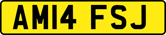 AM14FSJ