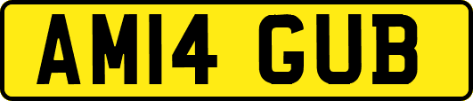AM14GUB