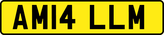 AM14LLM