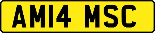 AM14MSC