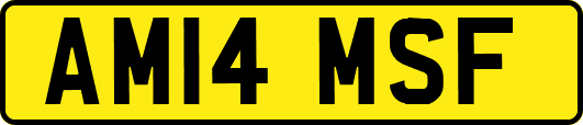 AM14MSF