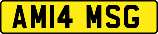 AM14MSG