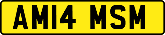 AM14MSM
