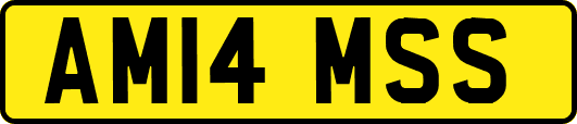 AM14MSS