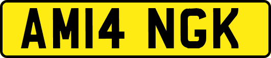 AM14NGK