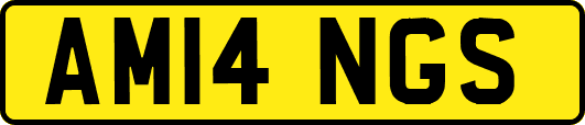 AM14NGS