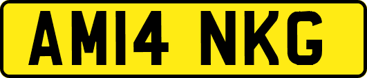 AM14NKG
