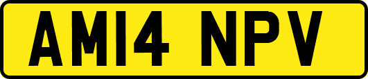 AM14NPV