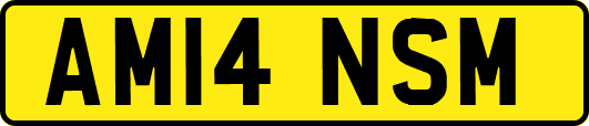 AM14NSM