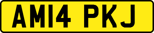 AM14PKJ