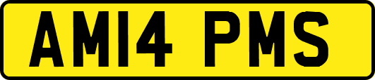 AM14PMS
