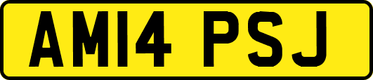 AM14PSJ