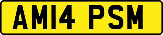 AM14PSM