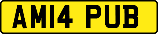 AM14PUB