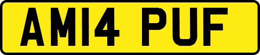 AM14PUF