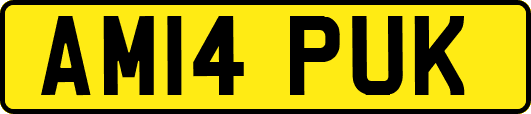 AM14PUK