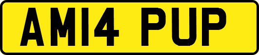 AM14PUP