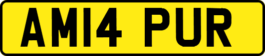 AM14PUR