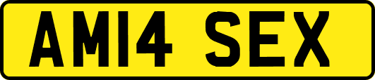 AM14SEX