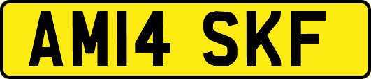 AM14SKF